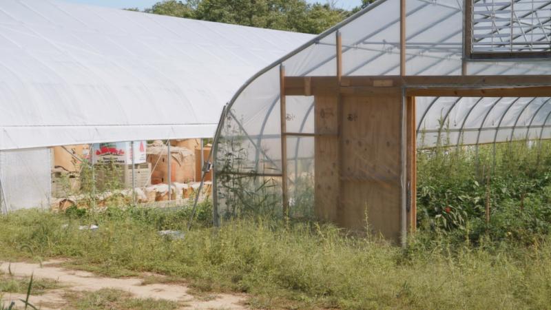 Farm-1