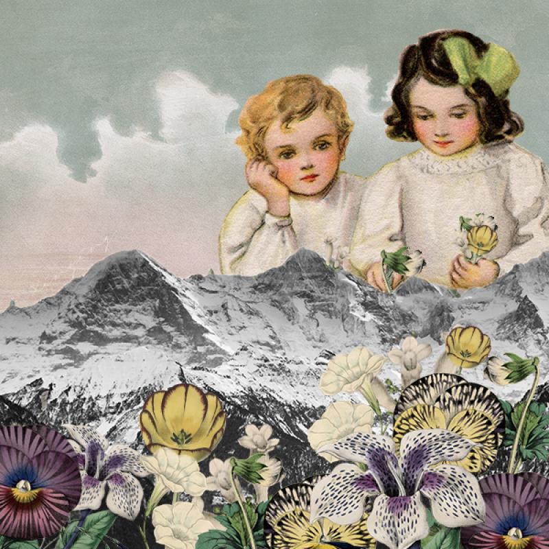 collage-1